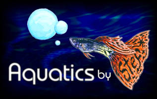 Aquatics by Stef