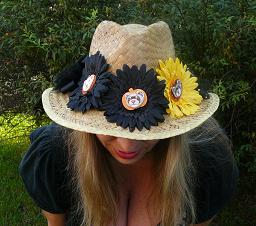 Stefhat2