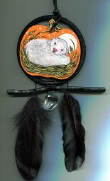 Collectables; Pumpkin Dream Catcher - Albino Ferret; Dream Catcher; Stef