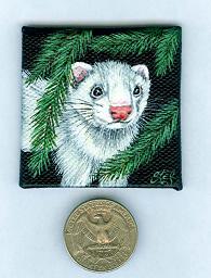 Ferrets; Spruce Miniature; Miniature Canvas; Stef